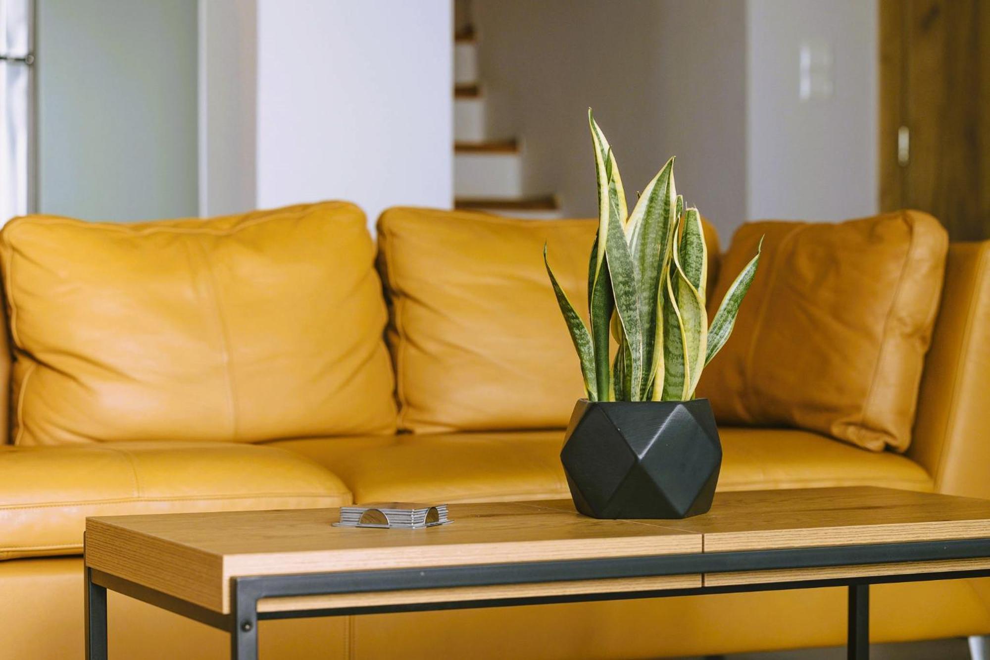 Anemos Luxury Villas 罗达奇诺 外观 照片